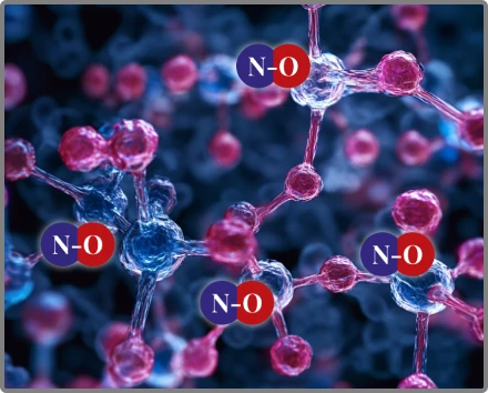 Diagram concept: nitric oxide molecules supporting blood-vessel dilation
